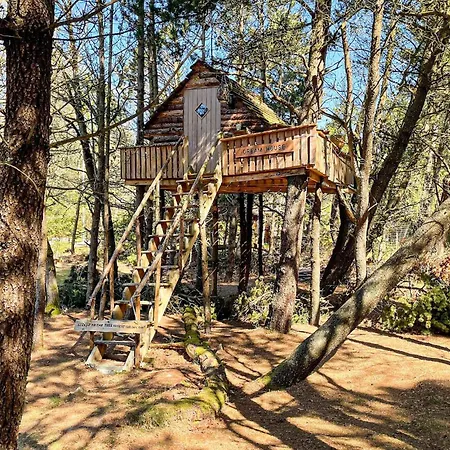 Awesome In With Wifi