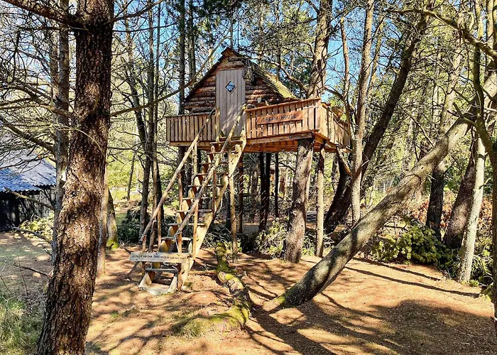 Awesome In With Wifi